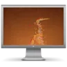 Ubuntu Server Display